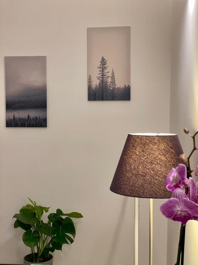 C&Y Apartments - Roma Prati - Luxury Double Studio With Kitchen Екстер'єр фото